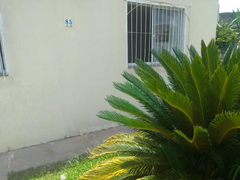 Casa Agradavel Em Camboriu Com Estacionamento No Patio Villa Ngoại thất bức ảnh